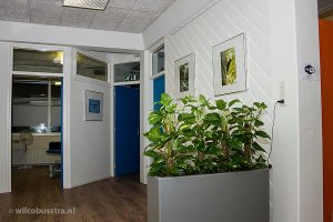 Expositie: Natuur in Leersum, Amerongen en Overberg